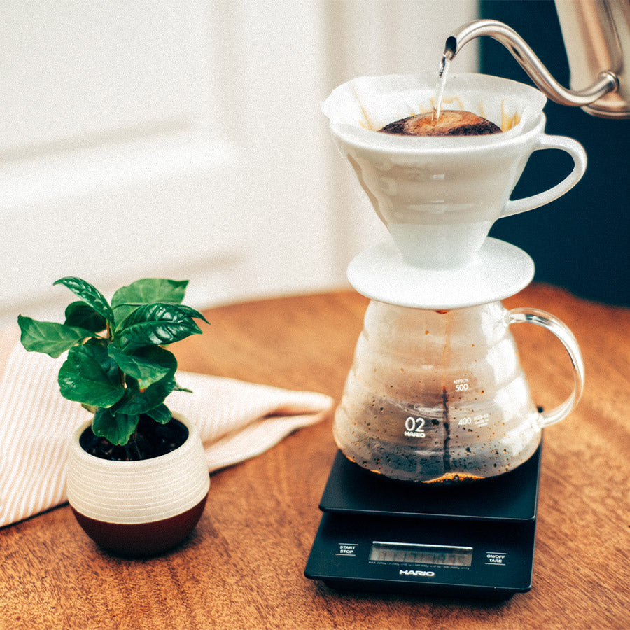 Hario V60 Range Server 600 ml